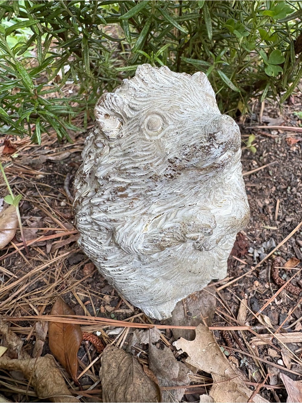 Garden Hedgehog Statue - Cream Outdoor Accent